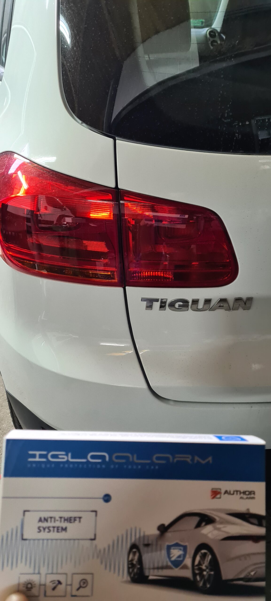 You are currently viewing Tiguan