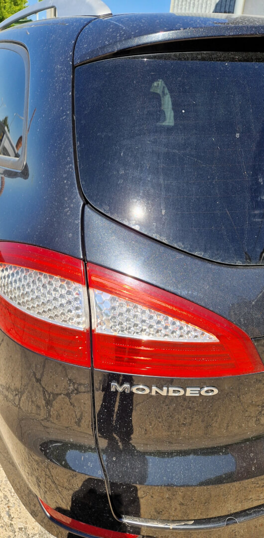 You are currently viewing Mondeo