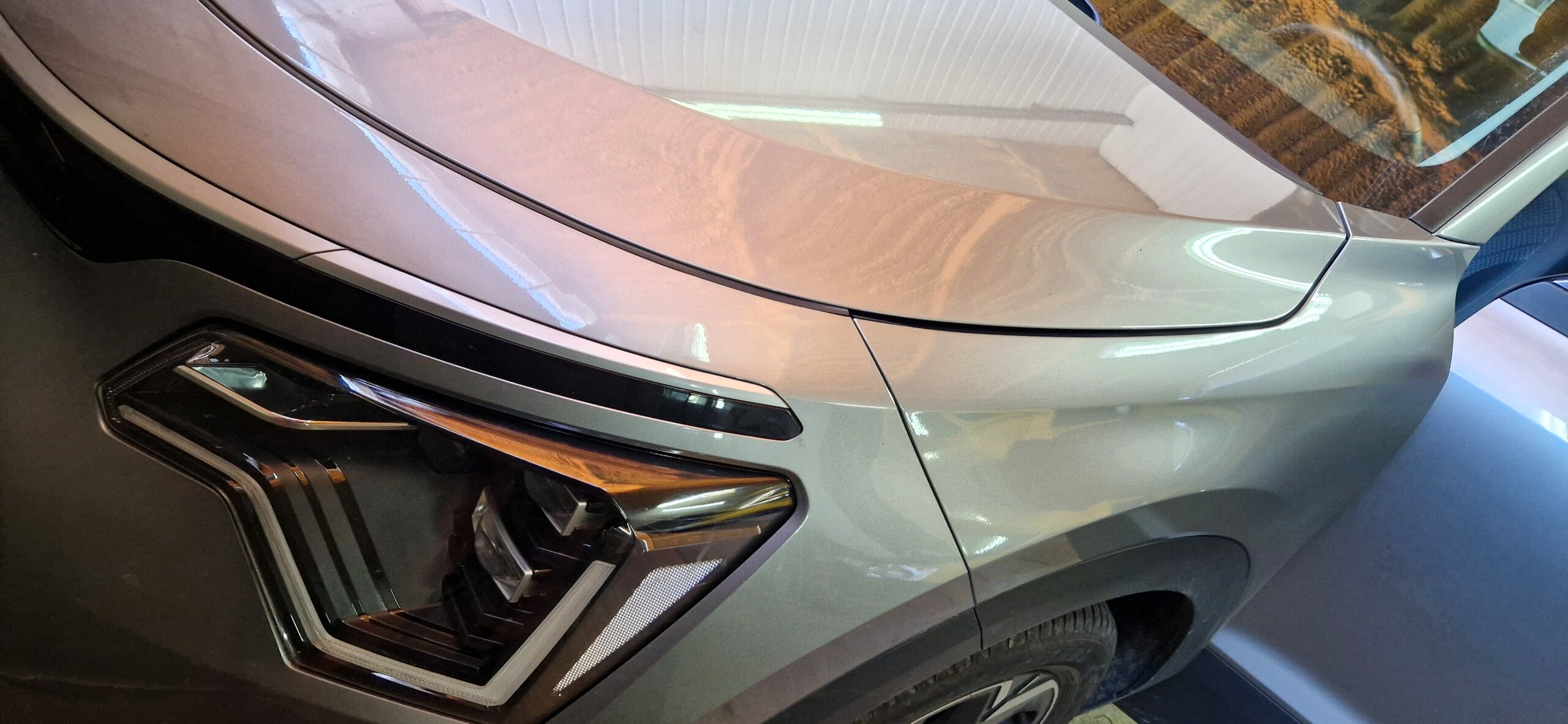 You are currently viewing Niro EV