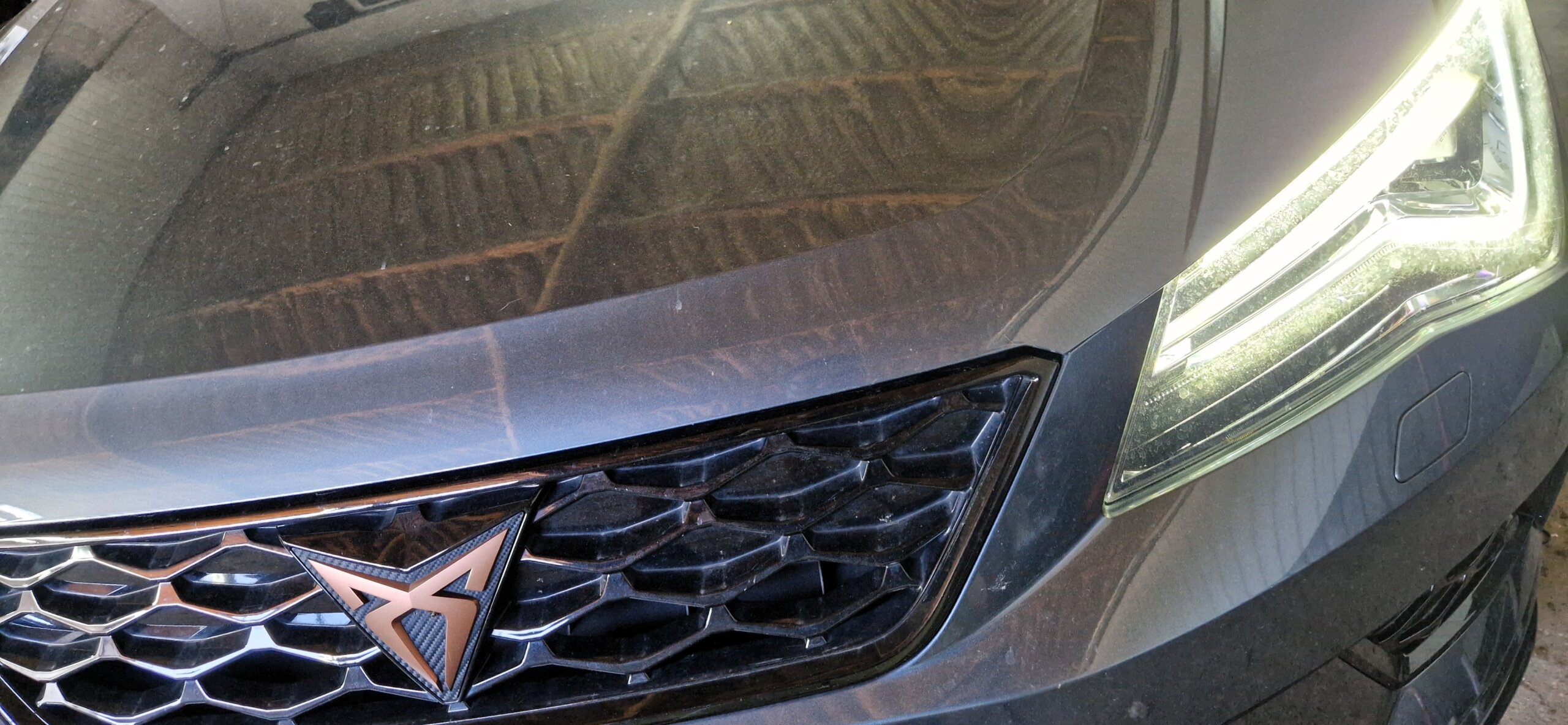 You are currently viewing Cupra