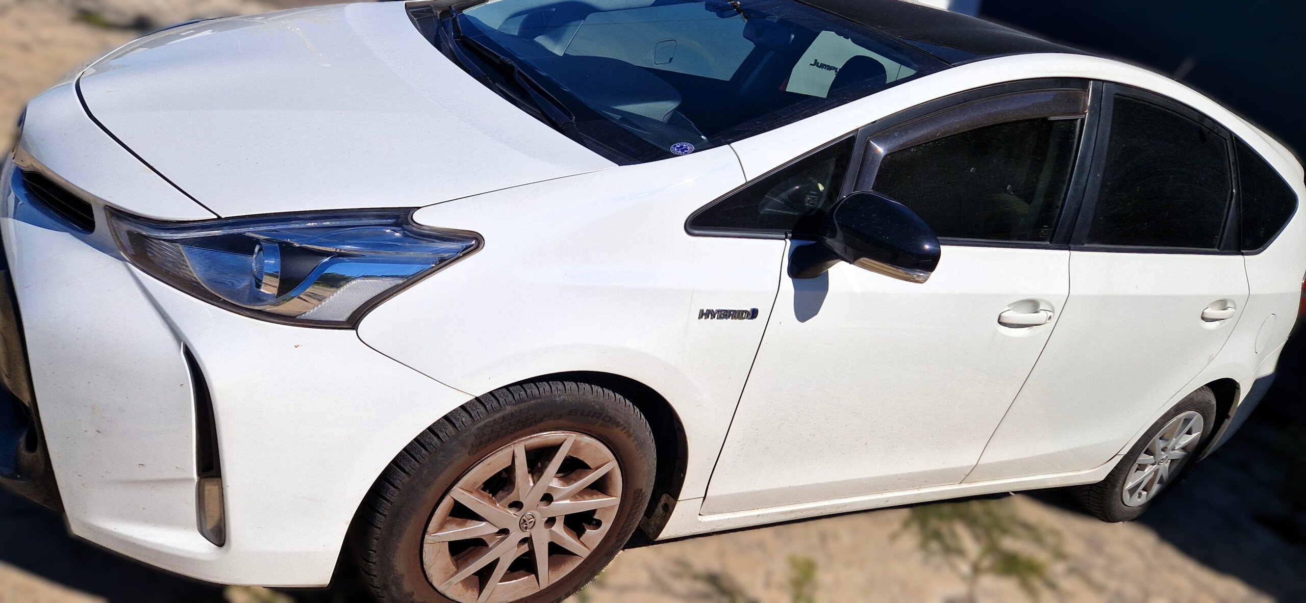 You are currently viewing Prius +